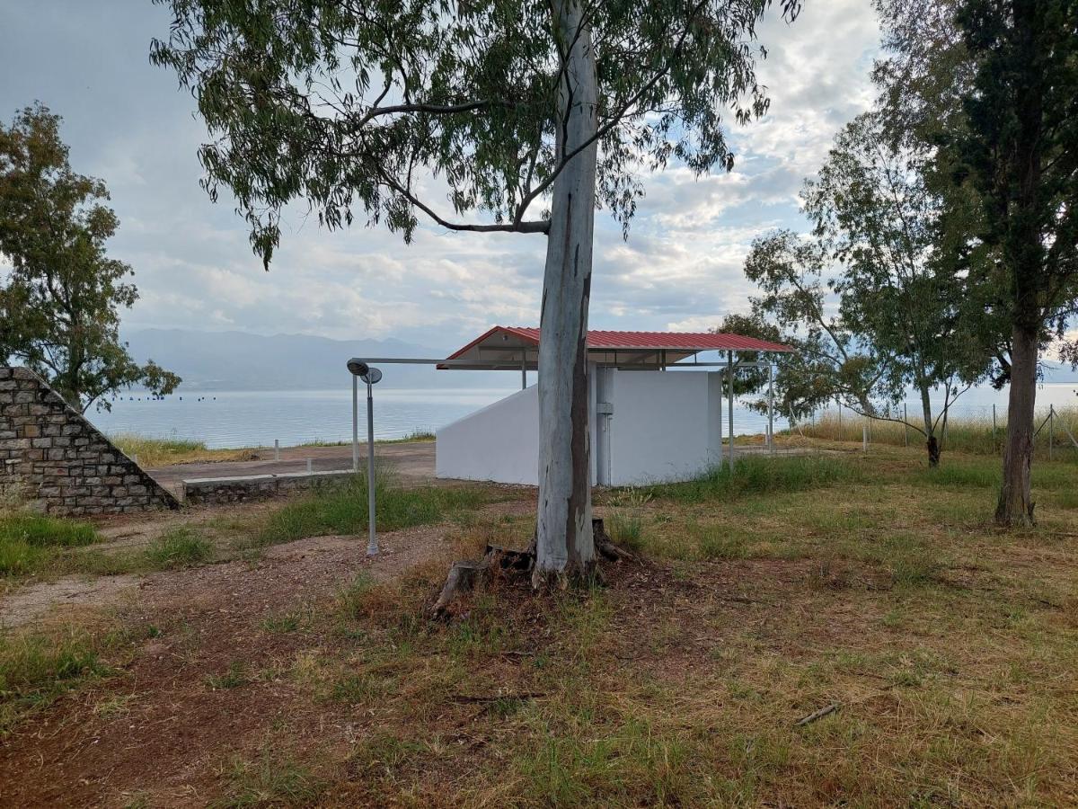 Apartment Laguna -house By The